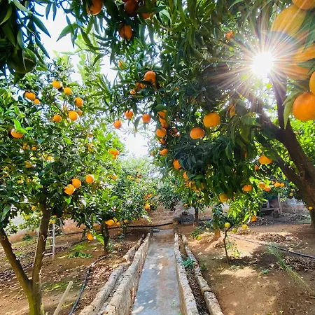 Aparthotel Masseria Mammella 4*