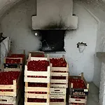 מלון דירות Masseria Mammella
