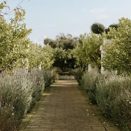 Aparthotel Masseria Mammella