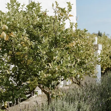 Masseria Mammella Aparthotel